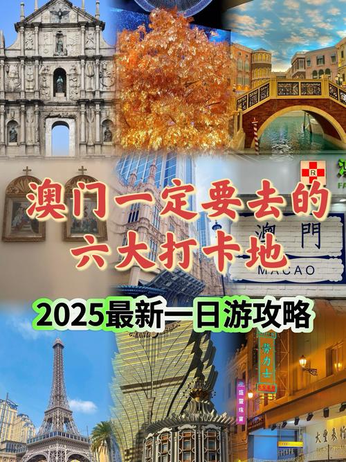 2025澳门正版免费全年资料大全旅游团,2025全面解析实用技巧分享