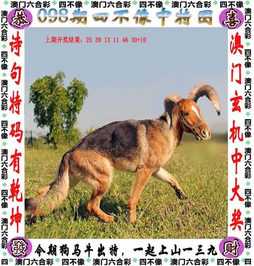 澳门资料大全正版资料2024年免费四不像和澳彩开奖结果历史记录全面释义、专家解释与落实与警惕虚假宣传