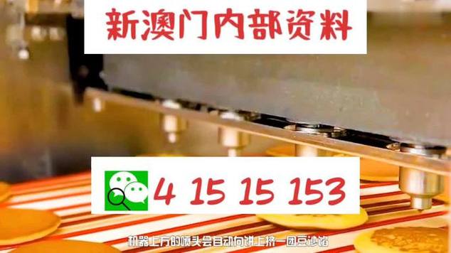 澳门王中王100%期期中,全面释义、专家解释与落实与警惕虚假宣传