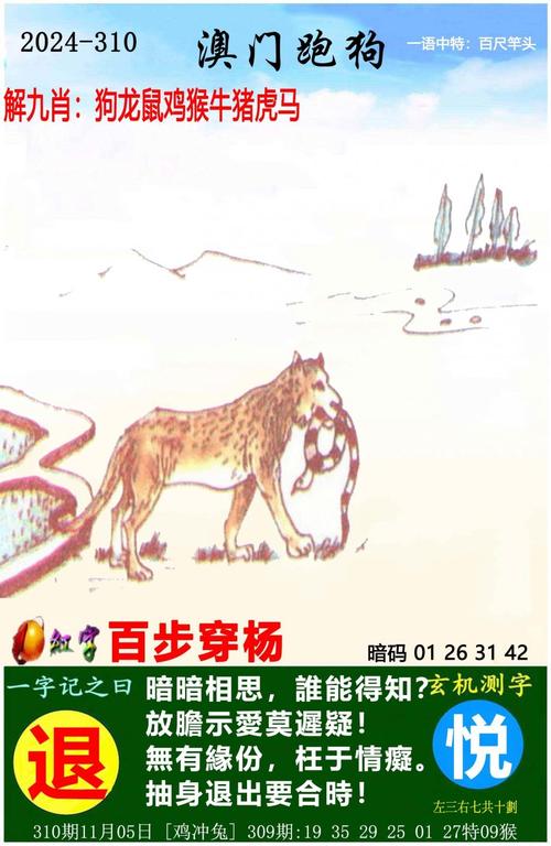 2025年5月16日 第5页