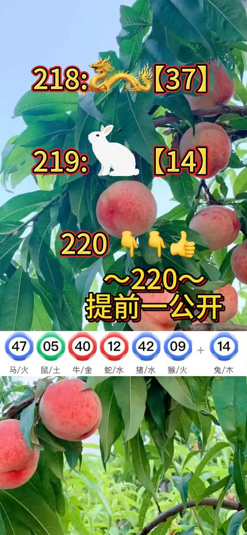 2025年5月17日 第6页