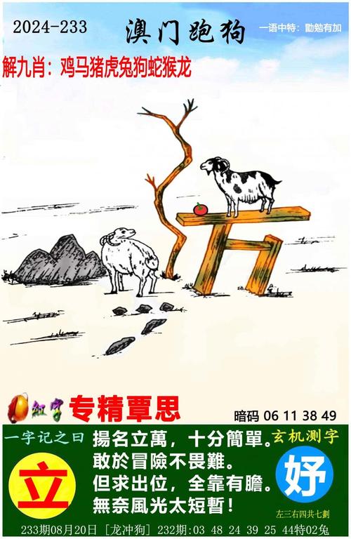 澳门正版资料免费大全新闻最新大神354期与2024澳门资料大全正版资料免费笔家婆全面释义、解释与落实与警惕虚假宣传