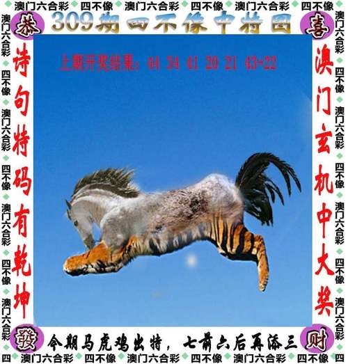 新奥天天开彩免费公布,2025全面解析实用技巧分享