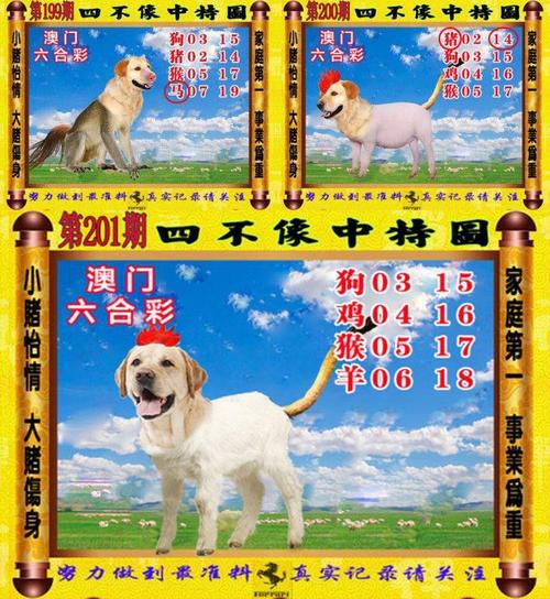 2024澳门正版资料免费大全精准四不像与澳门一码一码100精准全面释义、解释与落实与警惕虚假宣传