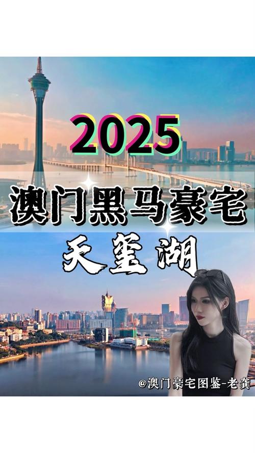 4949澳门免费资料大全特色功能查询,2025年最新实用信息汇总指南