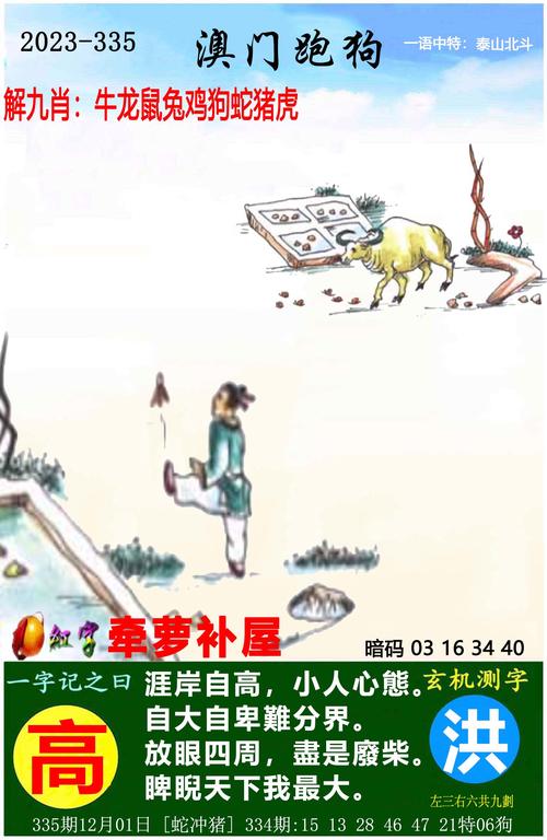 澳门今晚必中一肖一码准确9995澳门天天彩,2025全面解析实用技巧分享