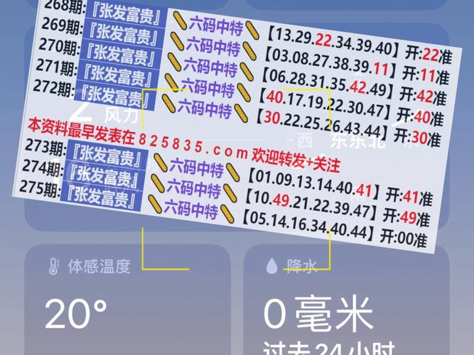 2025年新澳门开码记录与溴门最快开奖网全面释义、解释与落实与警惕虚假宣传