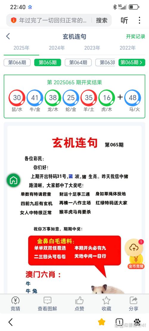 新澳门开奖结果2024开奖记录查询官网 蓝波…与2025澳门特马开奖记录全面释义、解释与落实与警惕虚假宣传