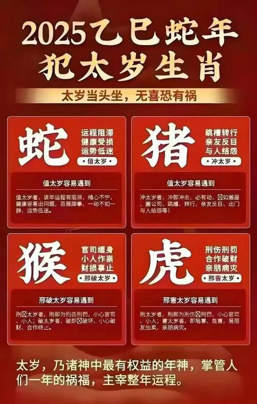 澳门49码第一开奖现场和2025精准资料免费提供最新全面释义、专家解释与落实与警惕虚假宣传