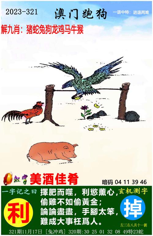 澳门管家婆100%精准和香港资料大全 正版资料下载手机全面释义、专家解释与落实与警惕虚假宣传